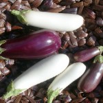 Beneficios de la berenjena