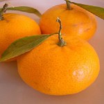 Una buena alimentación significa una buena salud