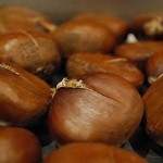 Beneficios de las castañas