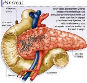 Qué es la pancreatitis