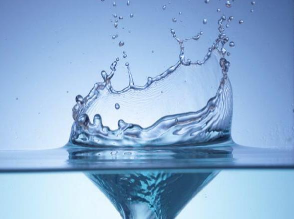 El papel del agua en el organismo