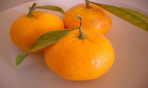 Mandarinas